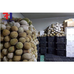 Lắp đặt kho Cấp đông sầu riêng tại Đăk Lăk