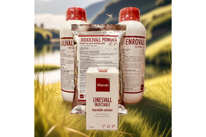 HÀNG NGOẠI NHẬP