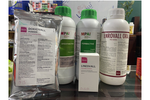 HÀNG NGOẠI NHẬP