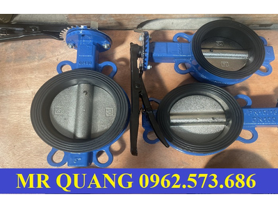 Van cánh bướm DN100, DN125