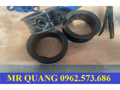 Van cánh bướm DN100, DN125