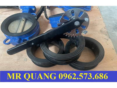 Van cánh bướm DN100, DN125