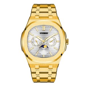 Đồng hồ nam STARKE SK167AM-GGW