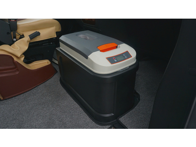 XE KHÁCH IVECO LIMOUSINE 11 CHỖ (IVECO DAILY PLUS)