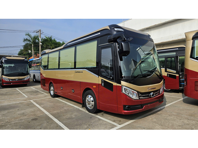 XE KHÁCH LIMOUSINE 19 CHỖ TB81 (EVERGREEN 81S)