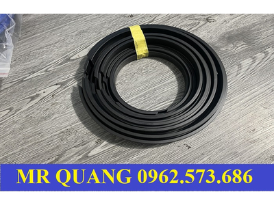 Phớt tháp ben (ty ben, trụ ben...)