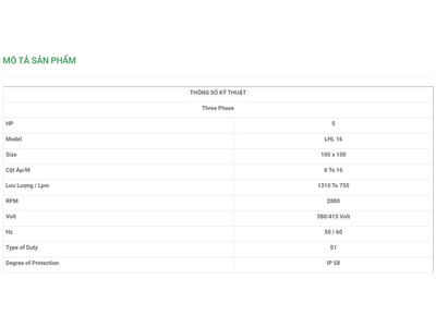 Máy Bơm Chìm Trục Ngang LuBi 3 Phase - 5HP- LHL 16