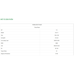 Máy Bơm Chìm Trục Ngang LuBi 3 Phase - 7.5HP- LHL 17