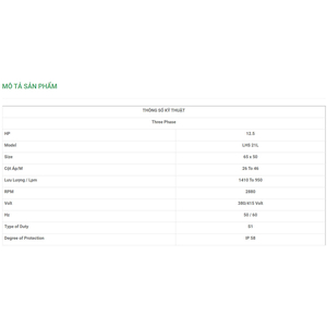 Máy Bơm Chìm Trục Ngang LuBi 3 Phase - 12.5HP- LHS 21L