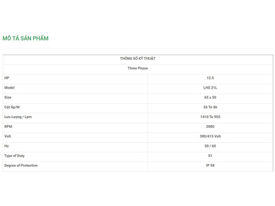 Máy Bơm Chìm Trục Ngang LuBi 3 Phase - 12.5HP- LHS 21L