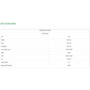 Máy Bơm Chìm Trục Ngang LuBi 3 Phase - 12.5HP- LHS 21L