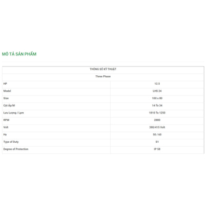 Máy Bơm Chìm Trục Ngang LuBi 3 Phase - 12.5HP- LHS 24