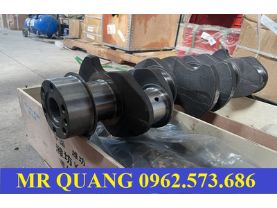 Trục khuỷu động cơ lai 4102