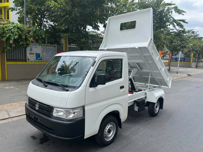 SUZUKI CARRY PRO BEN