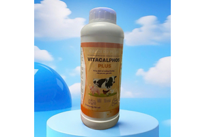 VITA.CALPHOS