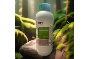 BREATH ACTIVE - TINH DẦU THIÊN NHIÊN