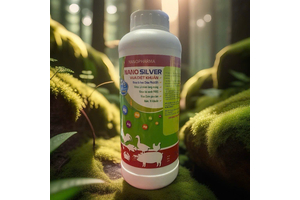 NANO BẠC Ag+