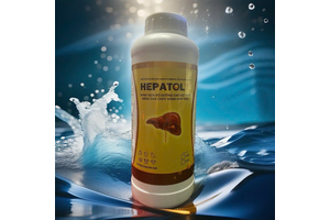 HEPATOL PLUS