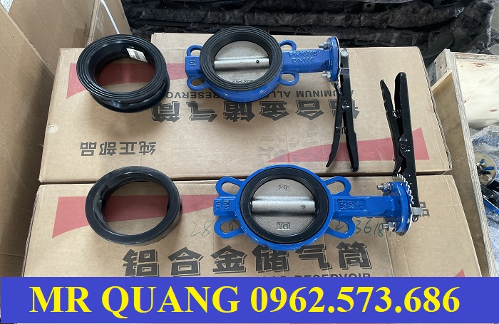 van cánh bướm dn100