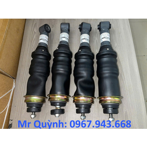 Bóng hơi Hyundai Xcient