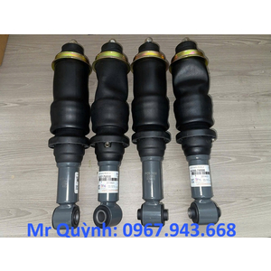 Bóng hơi Hyundai Xcient