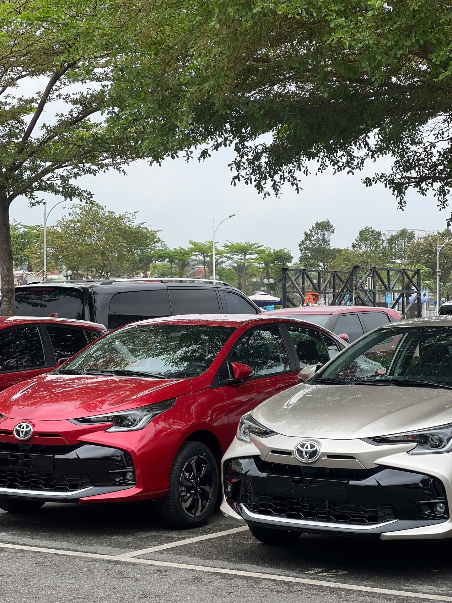 Toyota Vios 2026 mới nhất