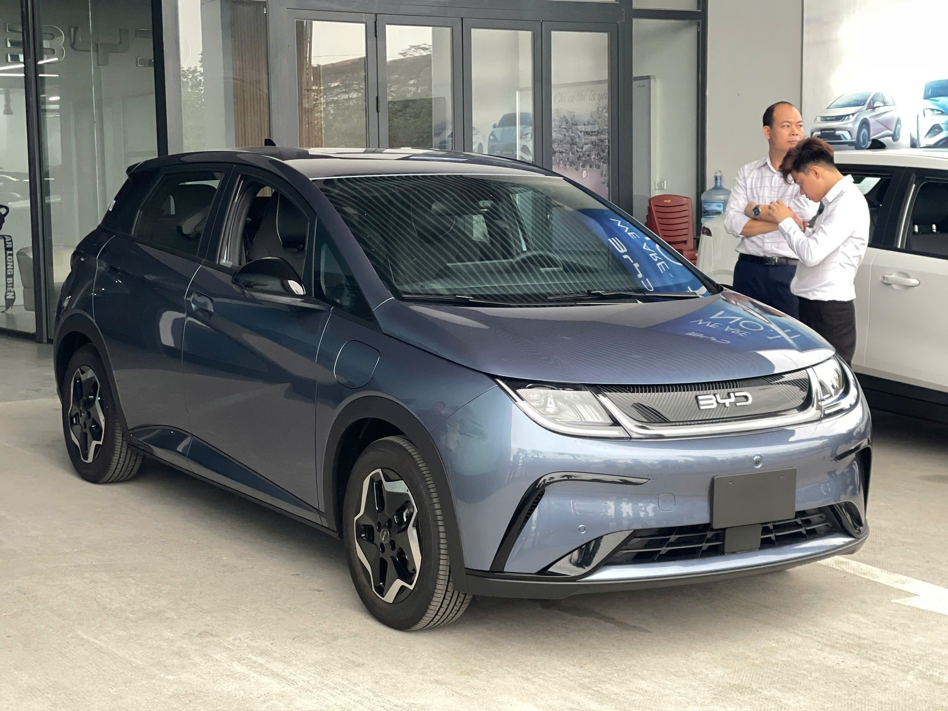 dau-xe-byd-dolphin-2026