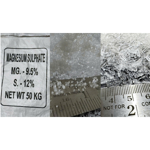 Magnesium Sulfate MgSO4.7H2O – Phân bón Magie Sulfat